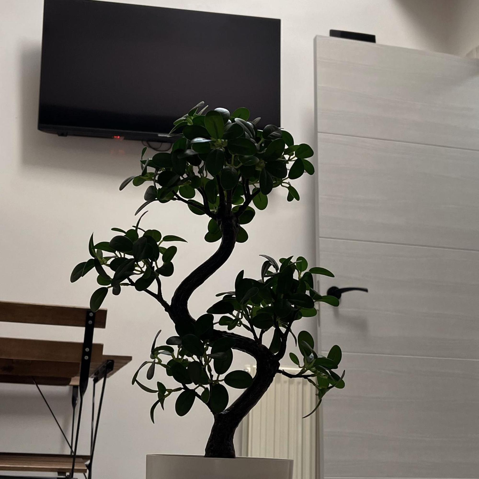 Apartamento Calera Burgo Esterno foto